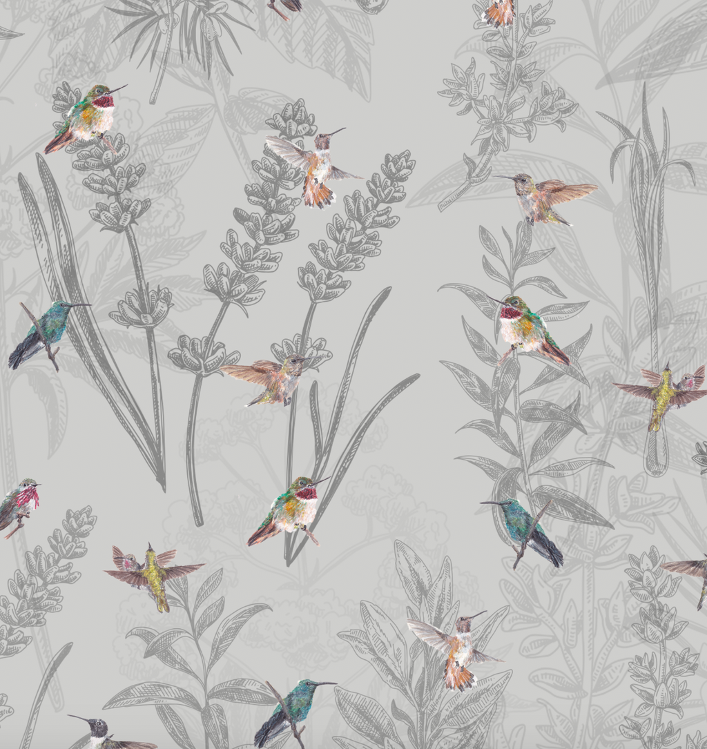 Papel Mural Colibri (221129)
