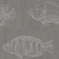 Papel Mural Pescados (COC012)