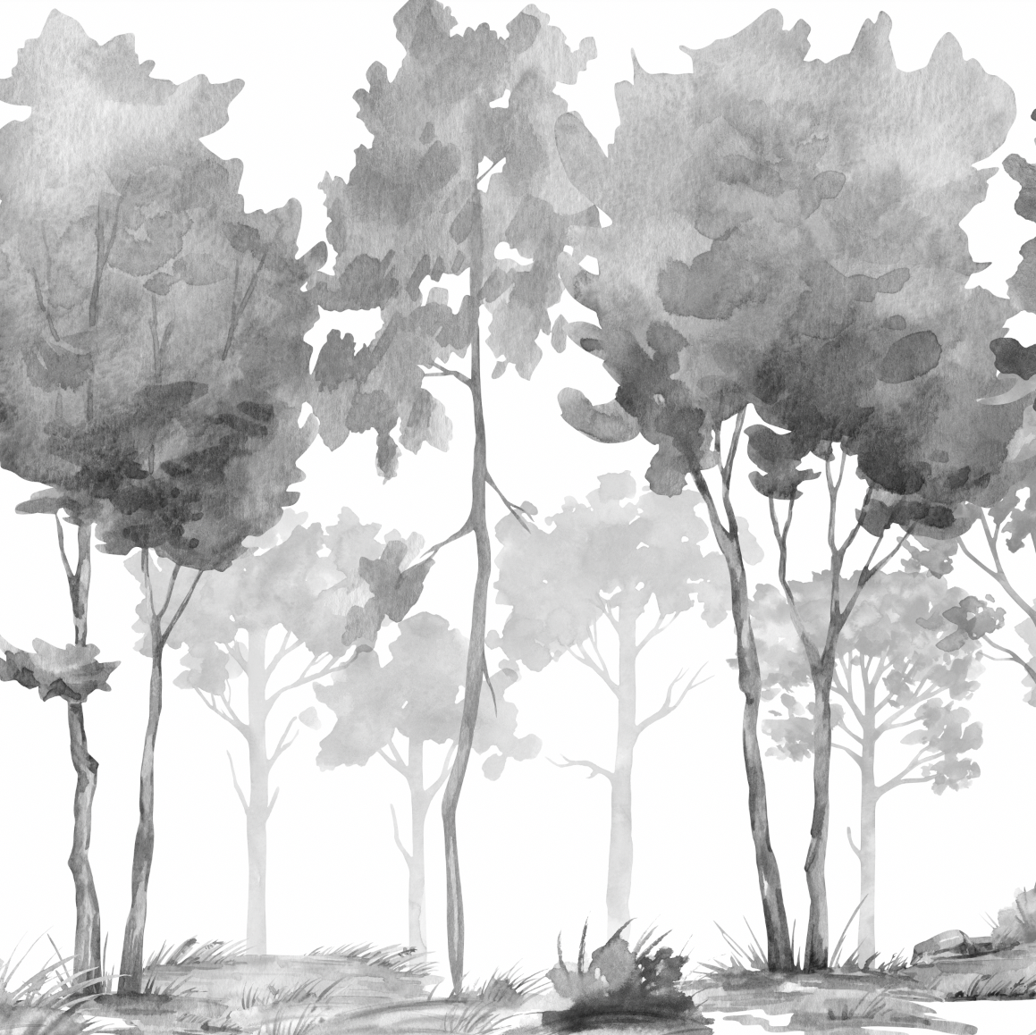Papel Mural Brachichito Gris (251002)