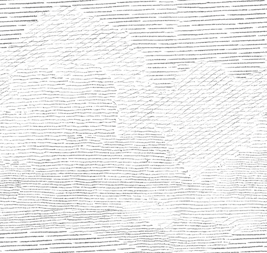 Papel Mural Maximiliano