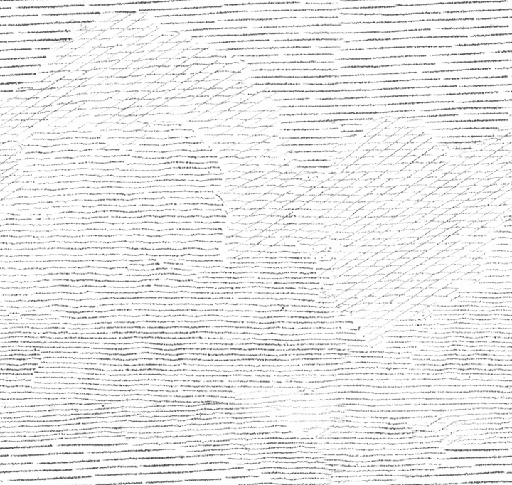 Papel Mural Maximiliano