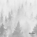 Papel Mural Pino Grey (PS001 Grey)