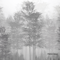 Papel Mural Bamboo Grey (PS004 Grey)