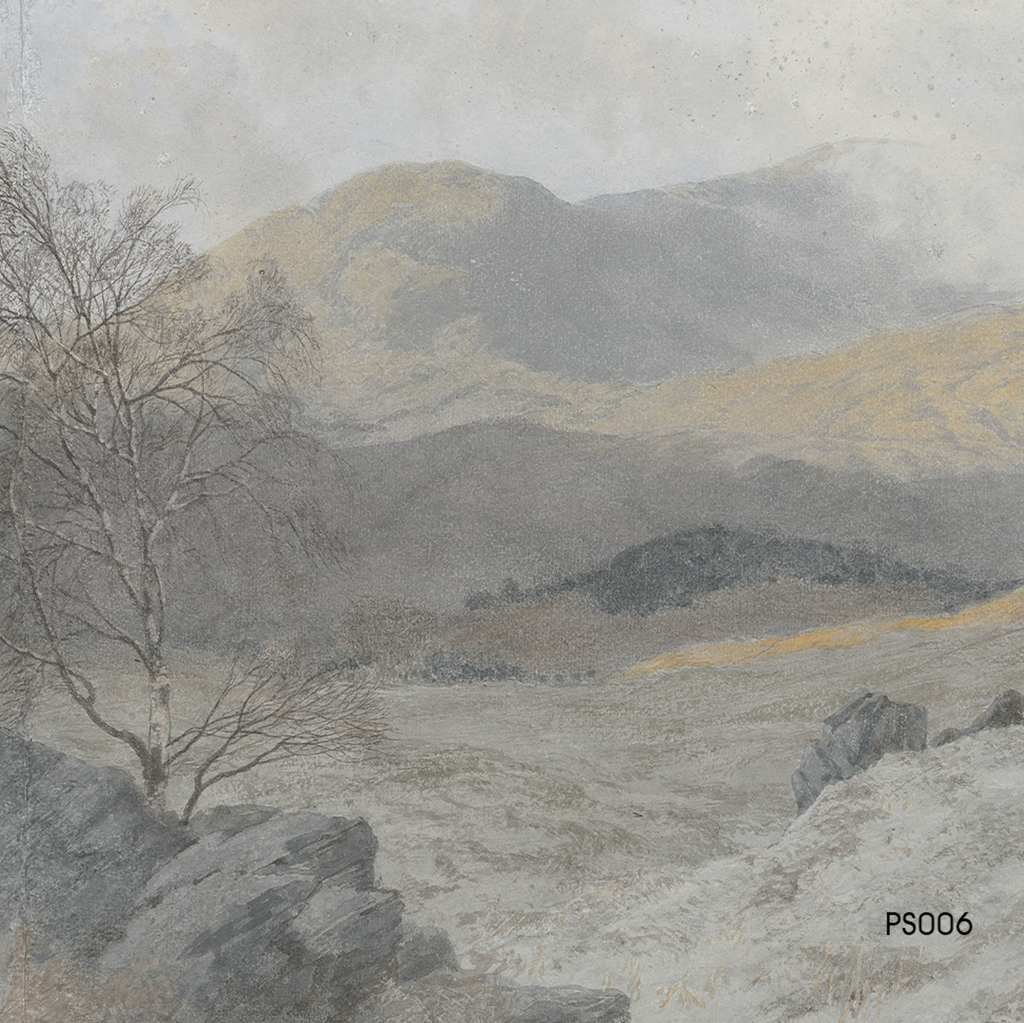 Papel Mural Desierto Florido (PS006)
