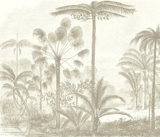 FPA001B