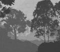 FPA002