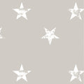 Papel Mural Estrellado (INFP003)