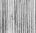 TMA0021