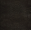 TPI005