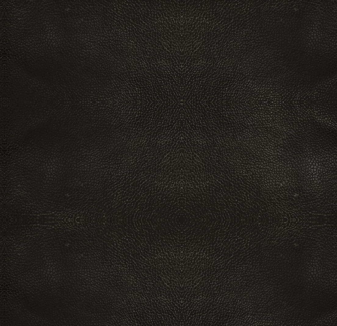 TPI005